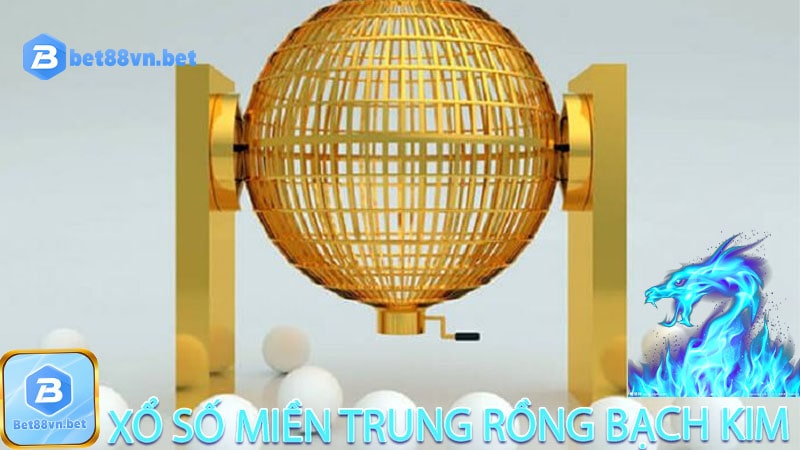 Thống kê rồng bạch kim