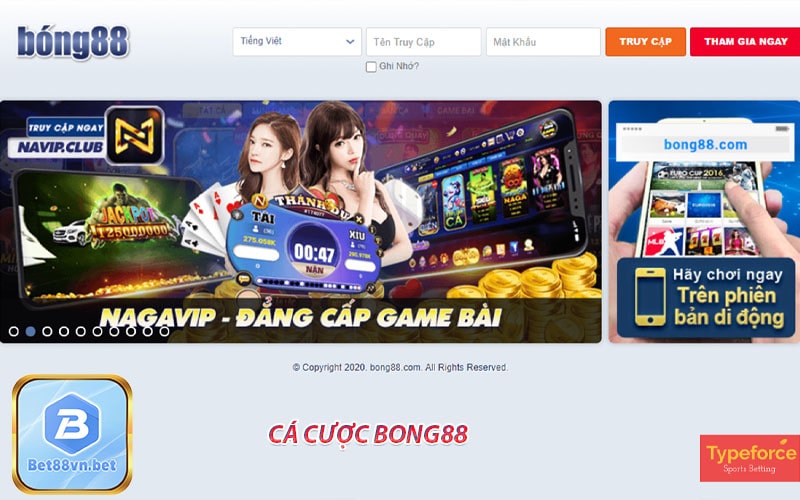 Các dịch vụ của nhà cái bong88