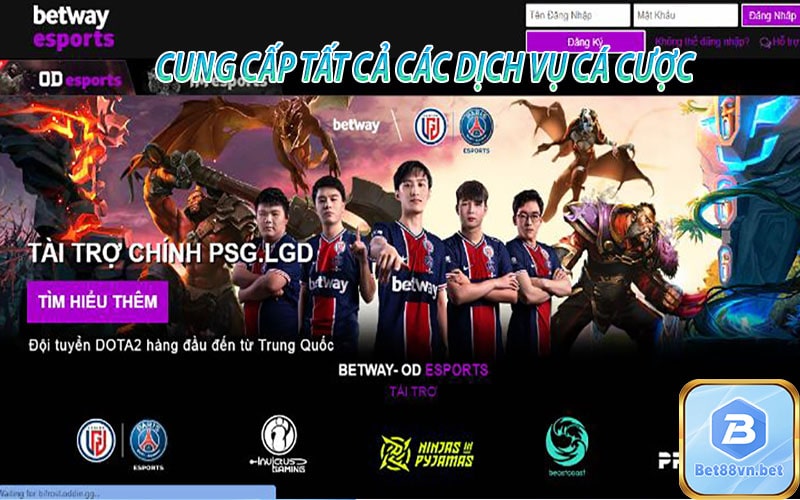 Độ an toàn của betway trực tuyến